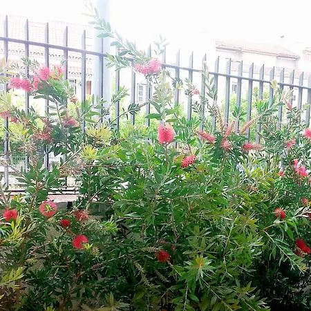 ببيت ضيوف بونفالوت Paço de Arcos