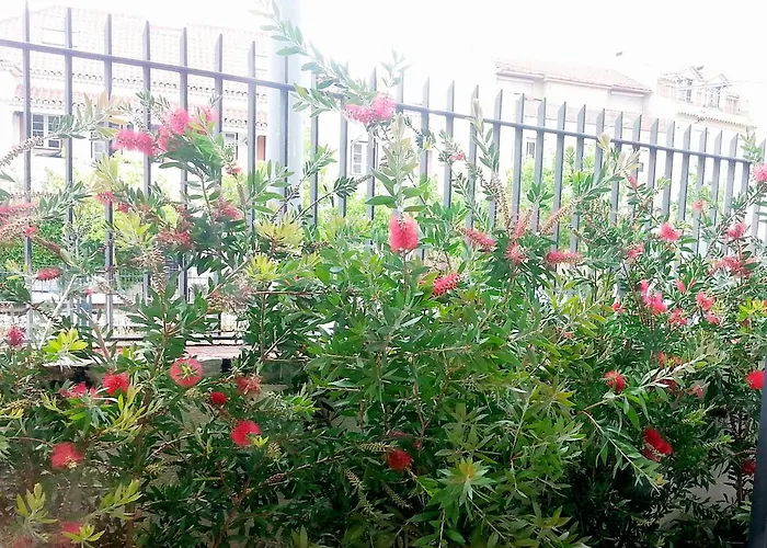 Bonvalot Paço de Arcos